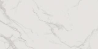 Vijo Arya  (CCR174 ) 30x60